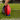 STRADIA "AUSSIE RULES STARTER" Set - "Aussie Rules Introductory Pack for Newcomers"