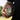 STRADIA “BUNJI” Rugby League Ball – Size 5 | First Nations Collection | Premium Grip & Hand-Sewn Quality