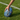 STRADIA “KOORI” Touch Football – Size 5 | First Nations Collection | Precision Grip & Handcrafted Quality