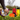 STRADIA "RUGBY STARTER" Set - "Rugby Essentials Kit for Beginners"